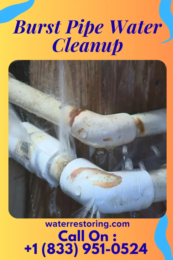 Burst Pipe Water Cleanup in Stonewall, MS