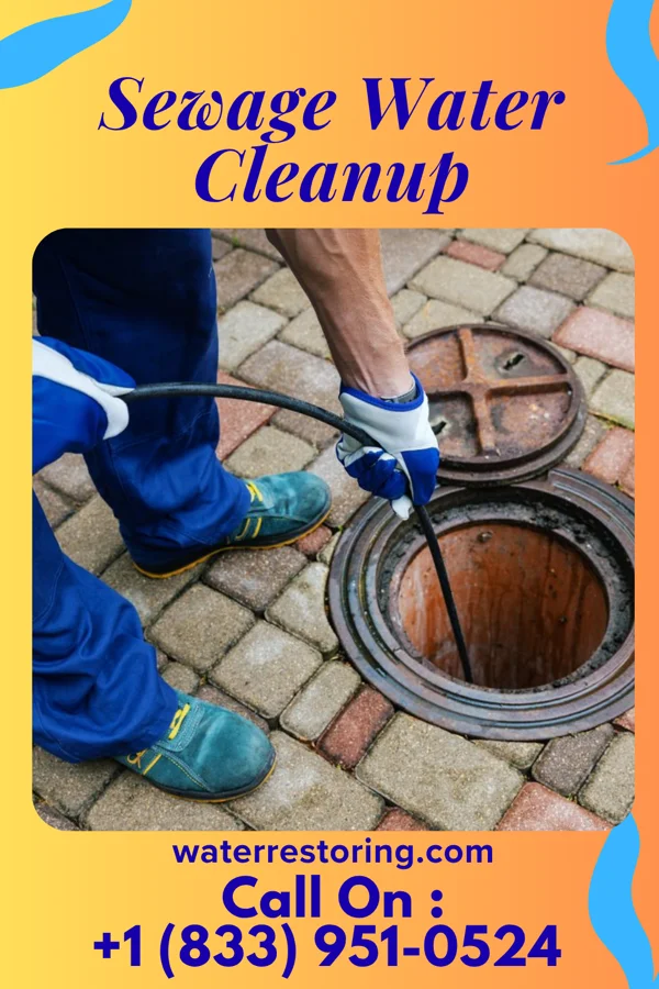 Sewage Water Cleanup in Stonewall, MS